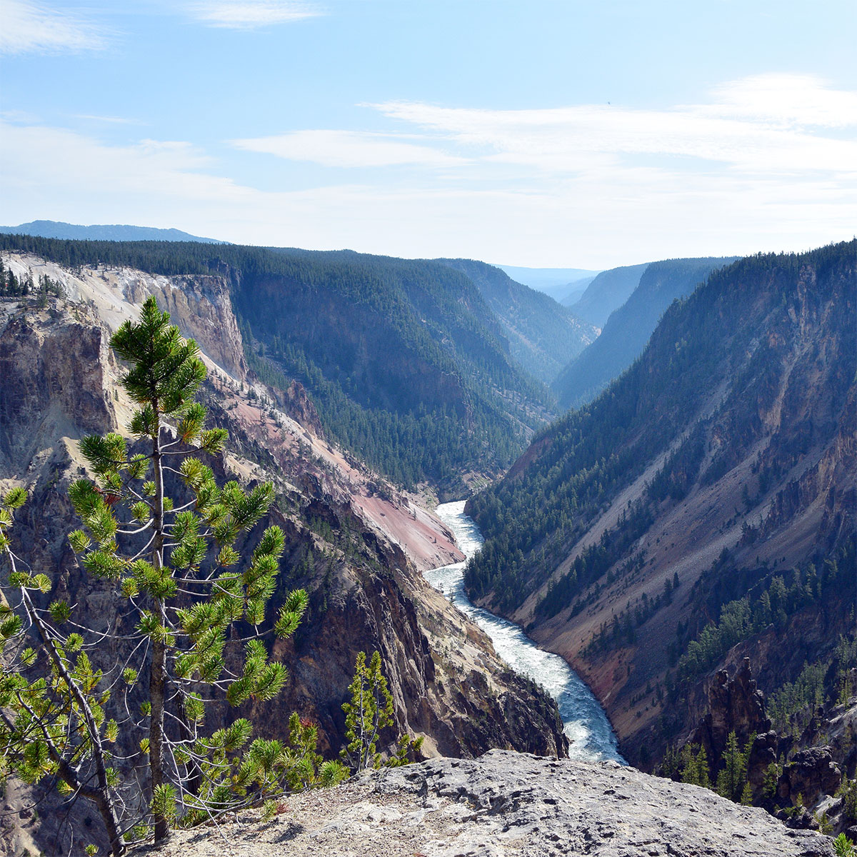 Grand Canyon of the Yellowstone River